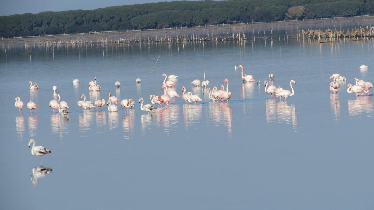 L'Isola Aer B&B Lesina Dış mekan fotoğraf