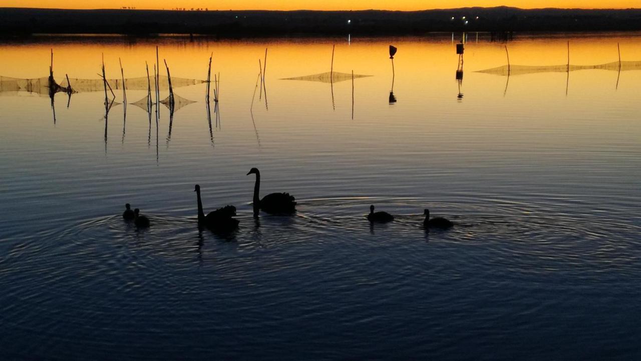 L'Isola Aer B&B Lesina Dış mekan fotoğraf