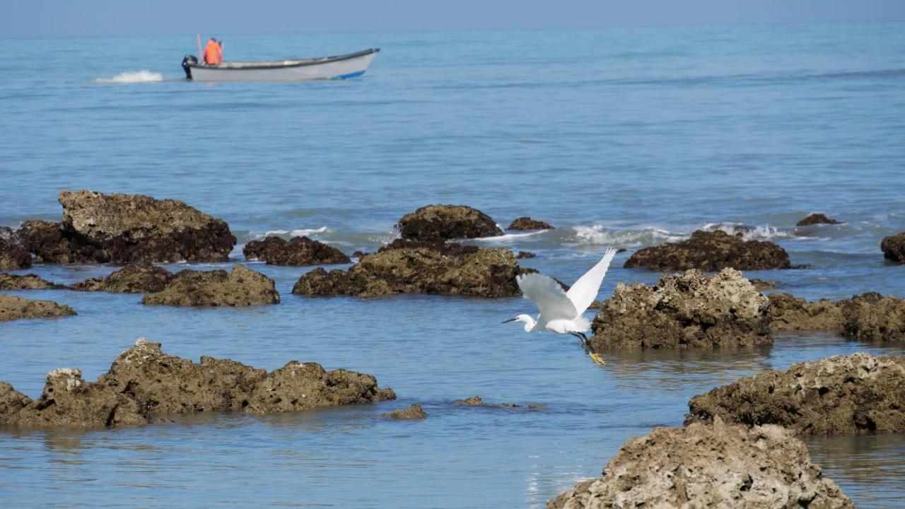 L'Isola Aer B&B Lesina Dış mekan fotoğraf