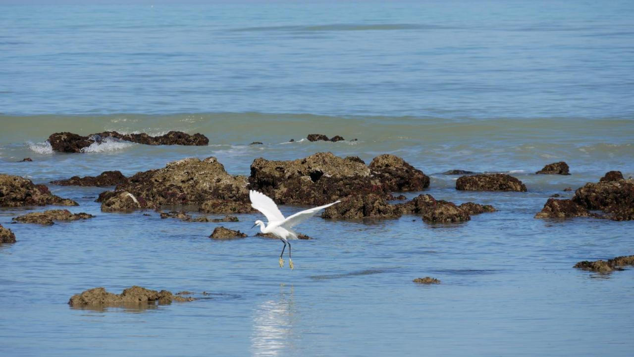 L'Isola Aer B&B Lesina Dış mekan fotoğraf